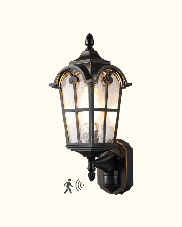 EDISHINE Outdoor Wall Light with Dusk to Dawn and Motion Sensor-HOWL07F