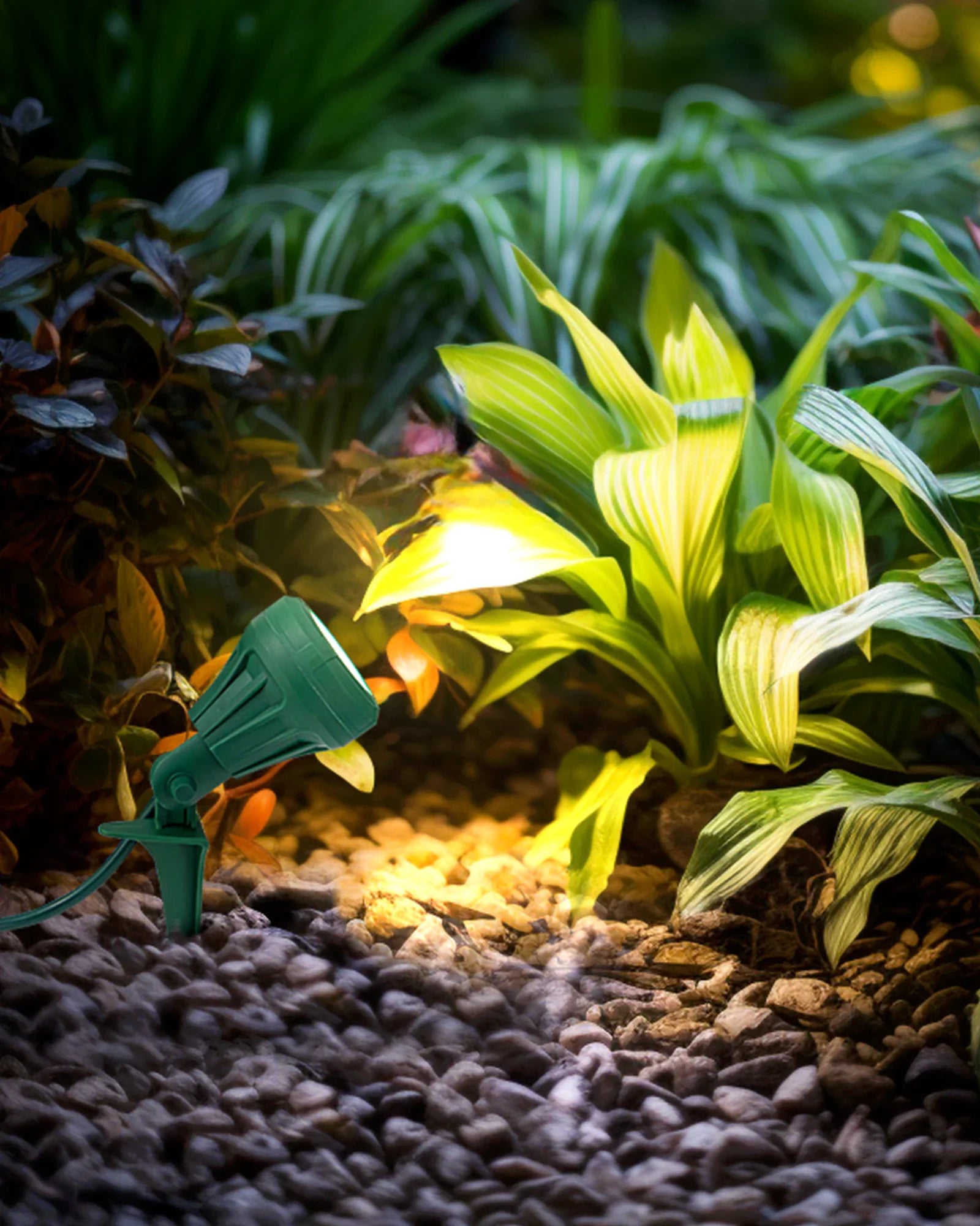 LED Outdoor Spotlight for New year Plug in Spot Light with 4 Color Lenses Waterproof Electric Landscape Spot Light projector 400 Lumen, 5 FT Power Cord-HGSL01G