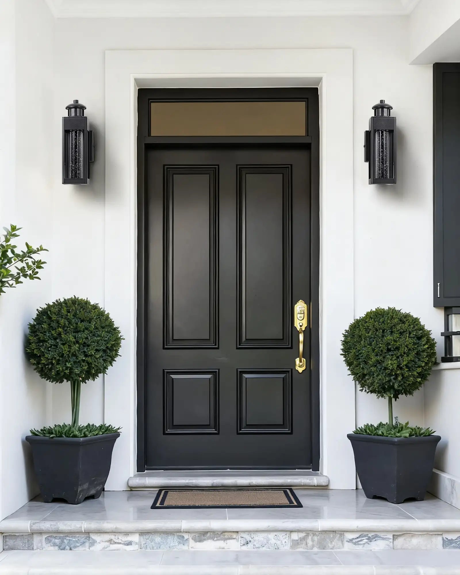 Black front door with gold handle on a white wall, flanked by two potted plants.