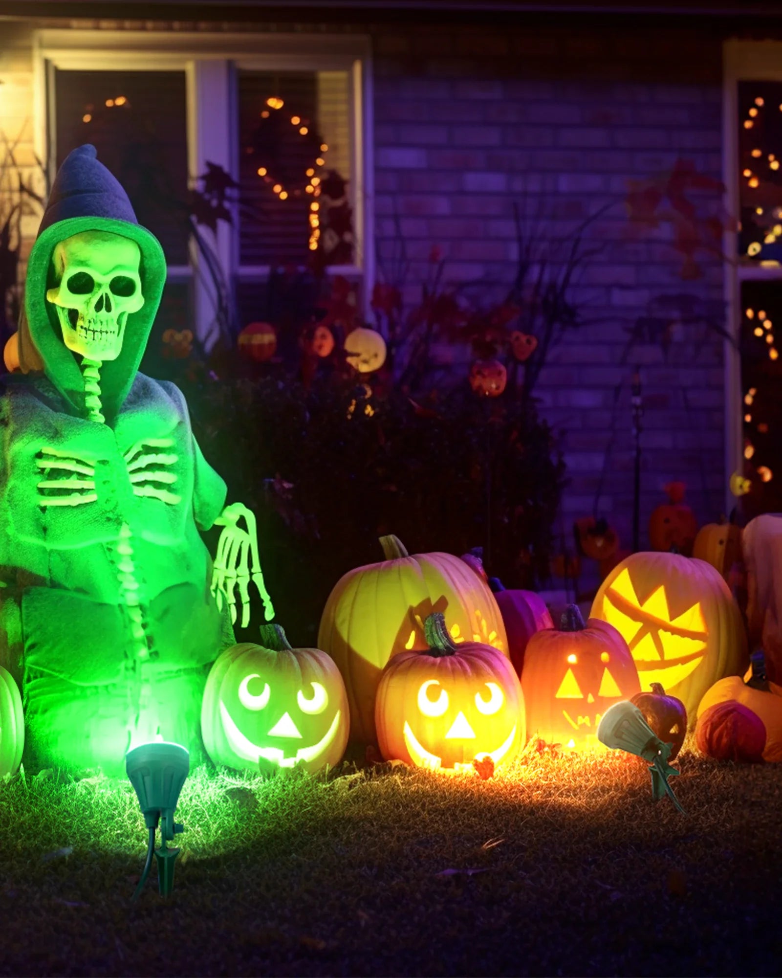 LED Outdoor Spotlight for New year Plug in Spot Light with 4 Color Lenses Waterproof Electric Landscape Spot Light projector 400 Lumen, 5 FT Power Cord-HGSL01G