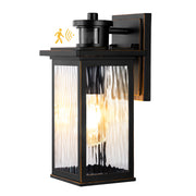 Outdoor Wall Light with Dusk to Dawn and Motion Sensor
