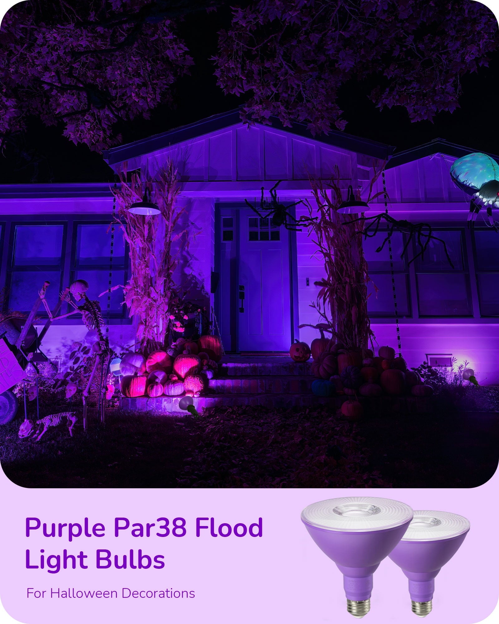 EDISHINE 4 Pack LED Par38 Outdoor Flood Purple Light Bulbs, 18W (120W Equivalent), Dimmable, E26 Base Purple LED Lights, Party Decortion