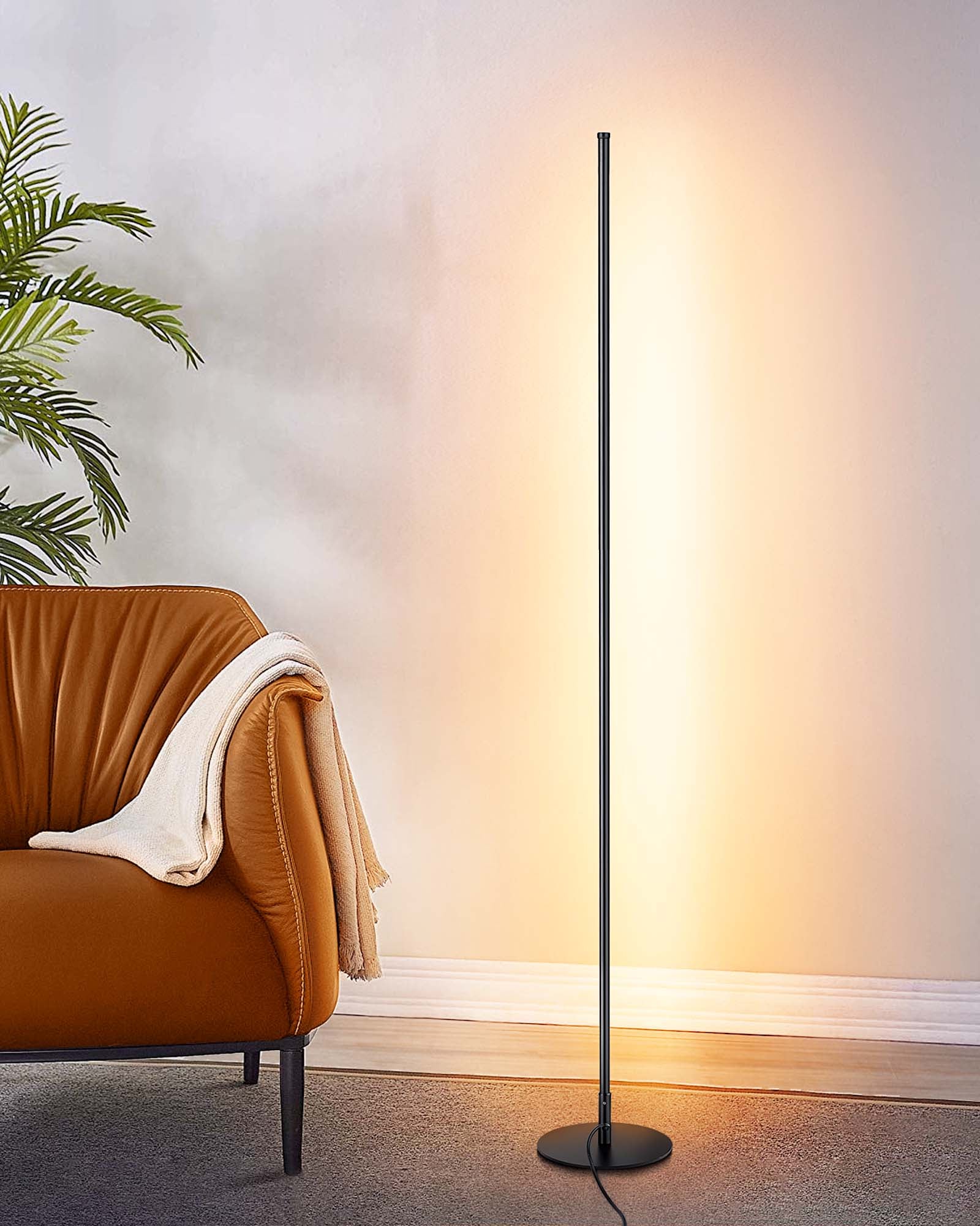 EDISHINE 57.5