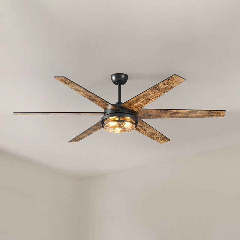 Ceiling Fans