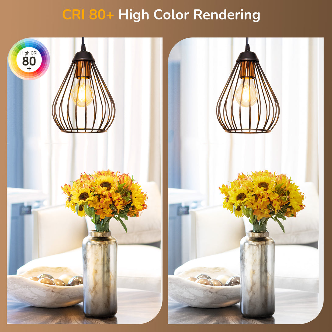 EDISHINE 6 Pack Vintage A19 Dimmable LED Edison Bulbs, 2700K & 4000K - HDFA19A-HDFA19B