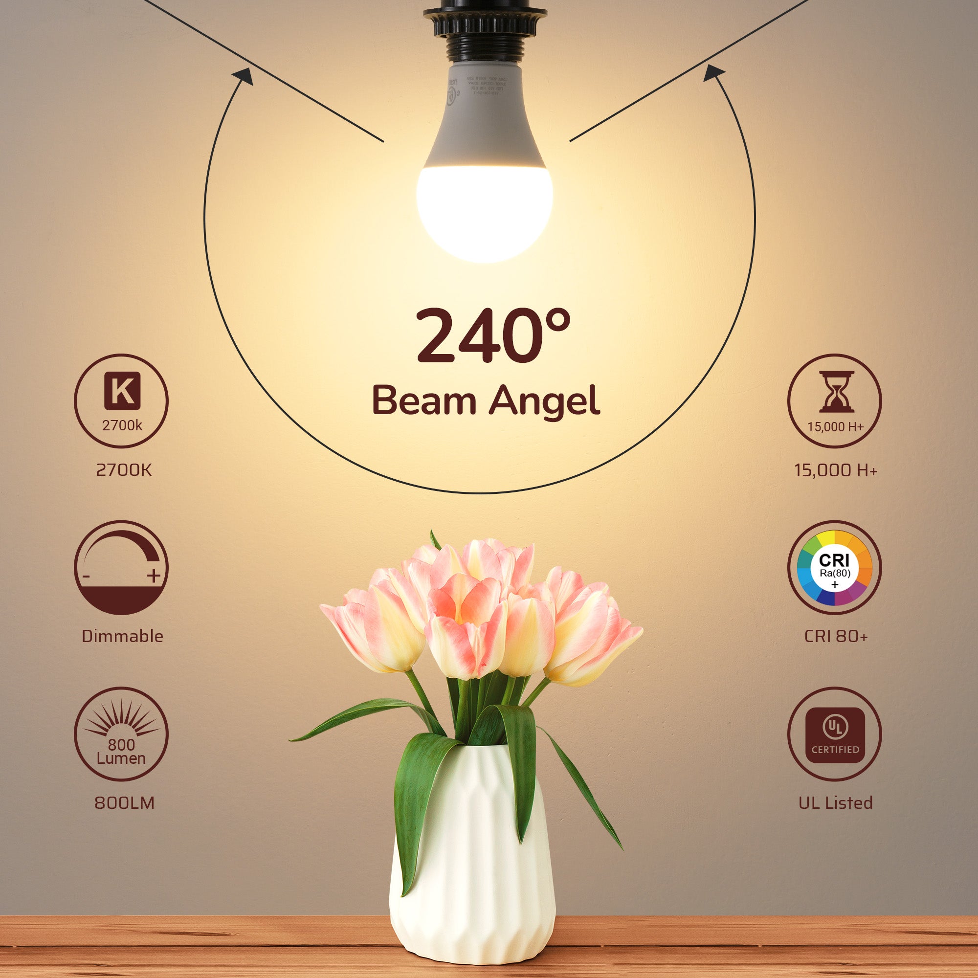 EDISHINE 6-Pack Dimmable LED Light Bulbs 60 Watt Equivalent 2700K Warm White 800 Lumen A19 LED Bulbs E26 Base - HDLA19M