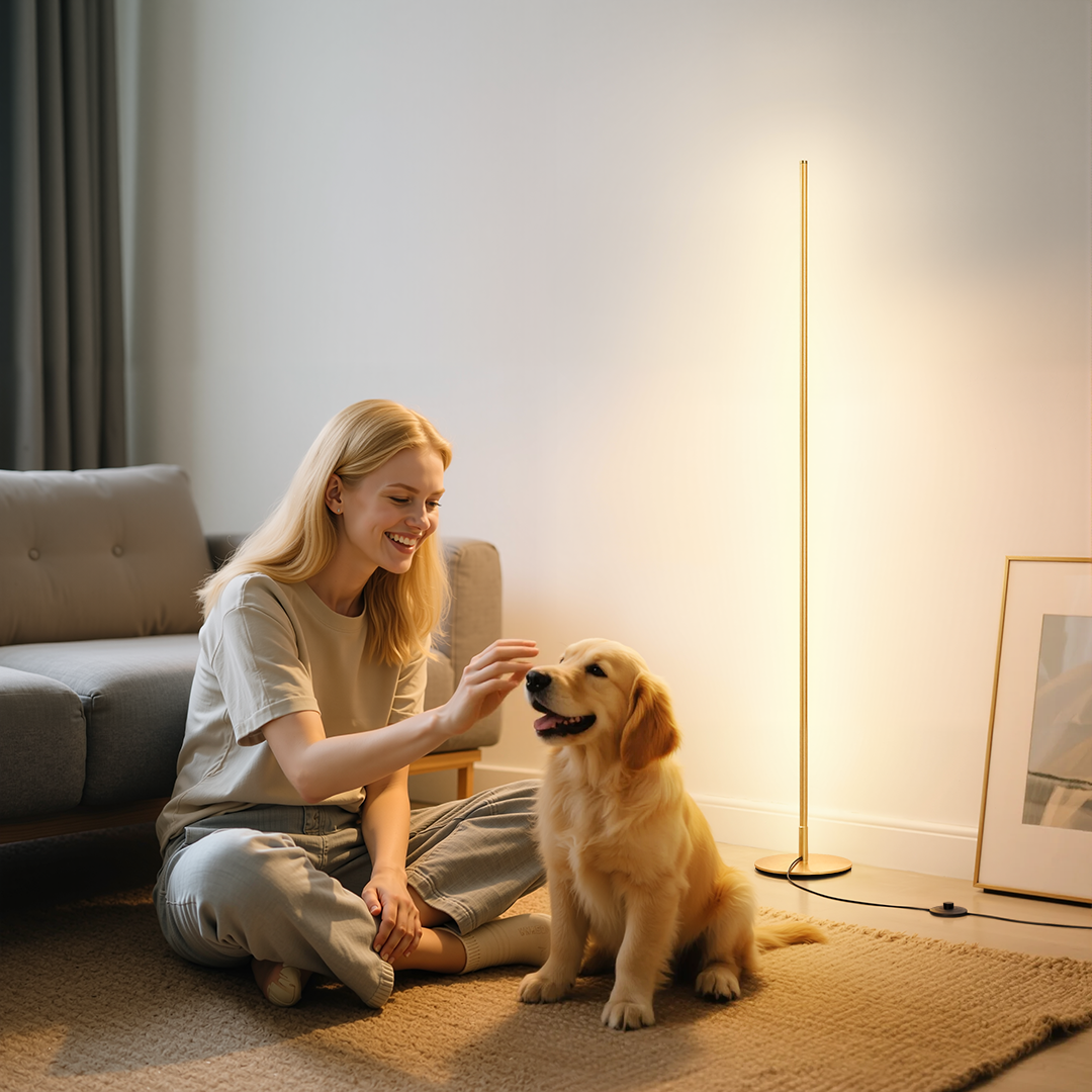 Minimalist LED Floor Lamp-HFLCB2E-HFLCB2F-HFLCB2G-HFLCB2H