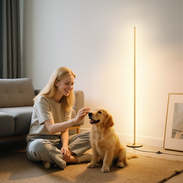 Minimalist LED Floor Lamp-HFLCB2E-HFLCB2F-HFLCB2G-HFLCB2H