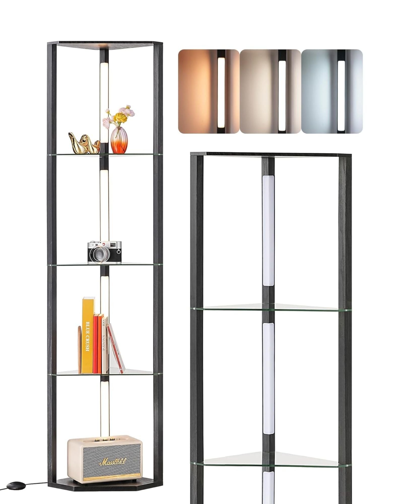 Modern Dimmable LED Corner Shelf Floor Lamp with Glass Shelves