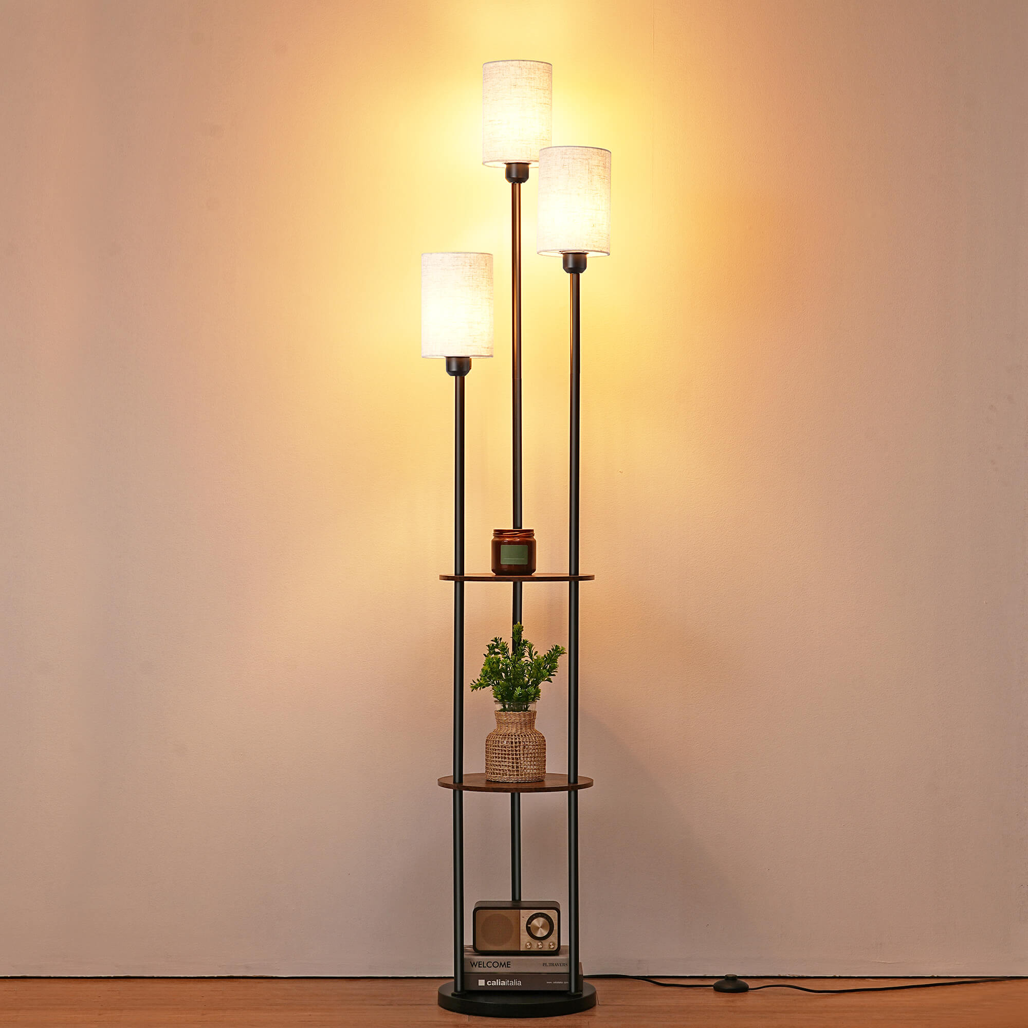 Floor Lamp with Shelf for Living Room