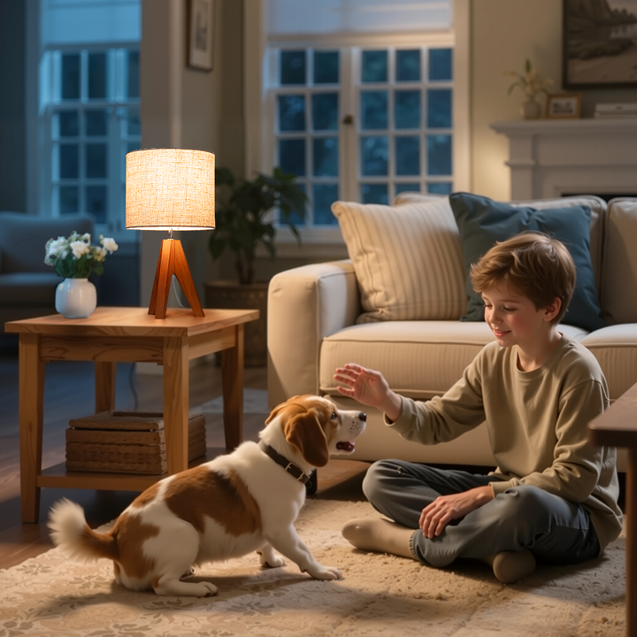 Classic Tripod Table Lamp (bulbs not included）-HLTL05Q-HLTL05R-HLTL05D1-HLTL05F1