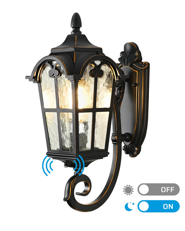 EDISHINE 17" Dusk to Dawn Outdoor Wall Light-HOWL06G