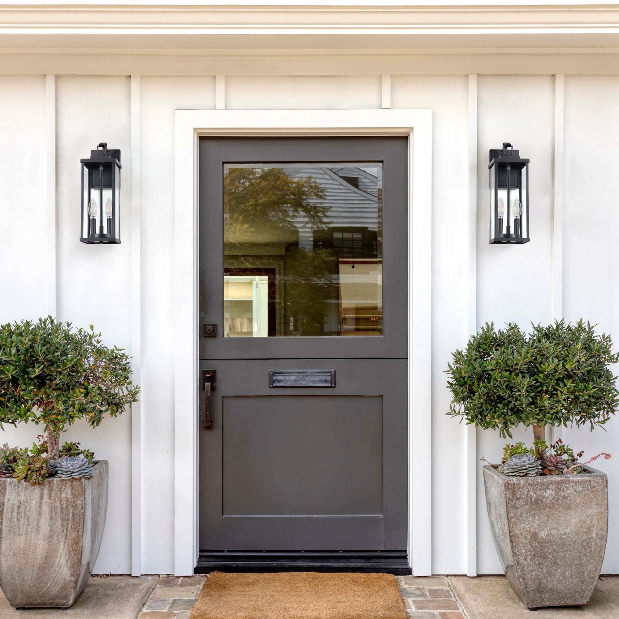 Gray front door with glass panel flanked by two potted plants on a white wall.