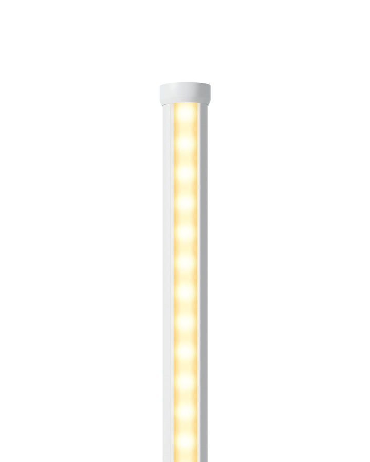 Minimalist LED Floor Lamp-HFLCB2F-HFLCB2H-HFLCB2G-HFLCB2E