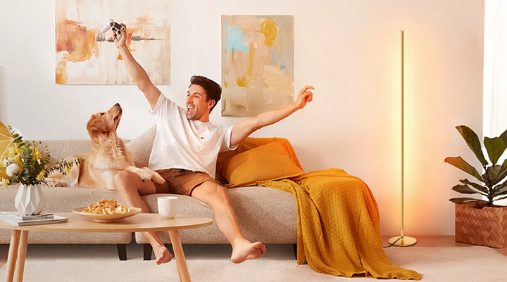 Minimalist LED Floor Lamp-HFLCB2F-HFLCB2H-HFLCB2G-HFLCB2E