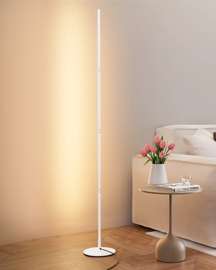 Minimalist LED Floor Lamp-HFLCB2F-HFLCB2H-HFLCB2G-HFLCB2E