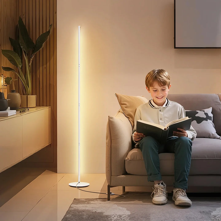 Minimalist LED Floor Lamp-HFLCB2F-HFLCB2H-HFLCB2G-HFLCB2E