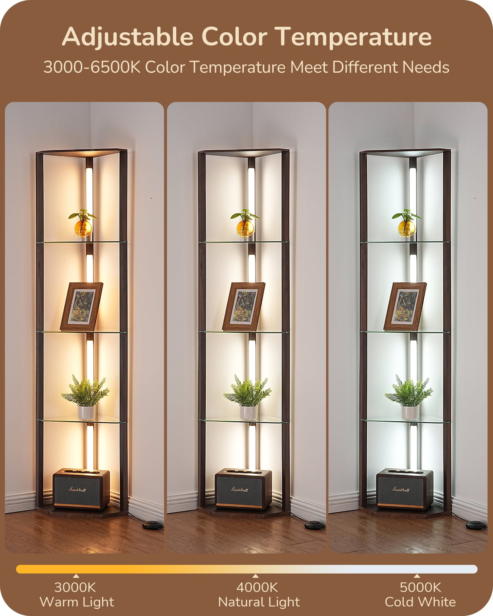 EDISHINE 63.7-Inch 4-Tier Modern Floor Lamps with Glass Shelves, Dimmable Standing Lamp with Remote/Foot Remote, Display Shelf Floor Lamp for Living Room, Bedroom，Open Display Cabinet